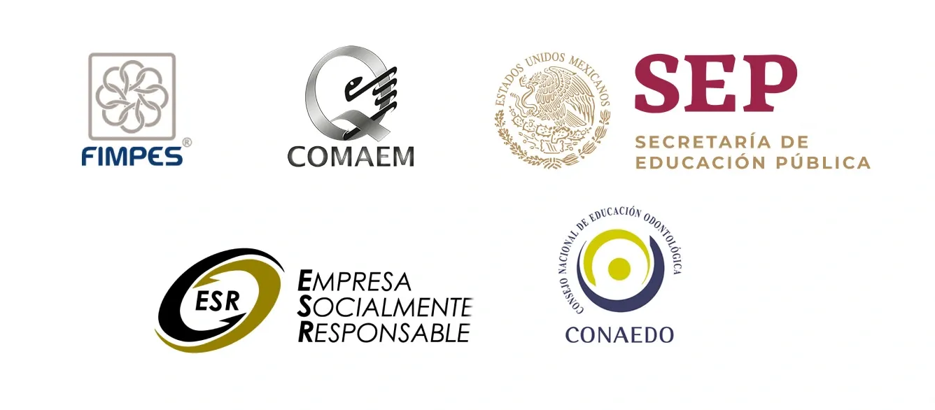 Ilustración para: Docentes con experiencia  real en la industria